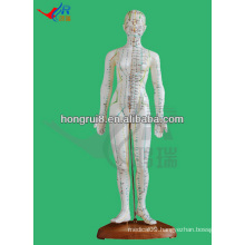 Human acupuncture product 48CM,female acupuncture model